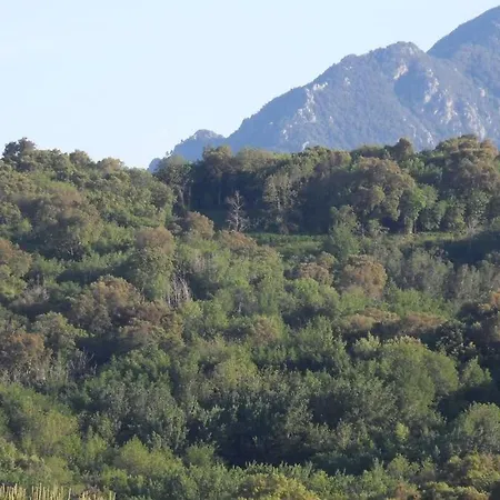 Folelli Villa + Jardin , 5 Mn Des Plages Et Des Rivieres